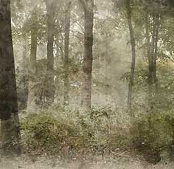 Selbstklebende Küchenrückwand Gemalter Wald – Nahaufnahme
